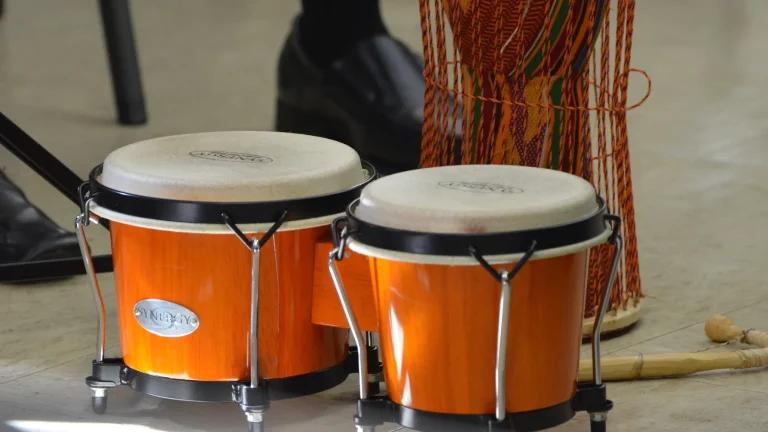 5 Best Bongos for Beginners Learning Percussion in 2025