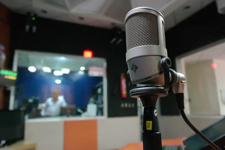 5 Best Studio Microphones for under 500 Dollars in 2025